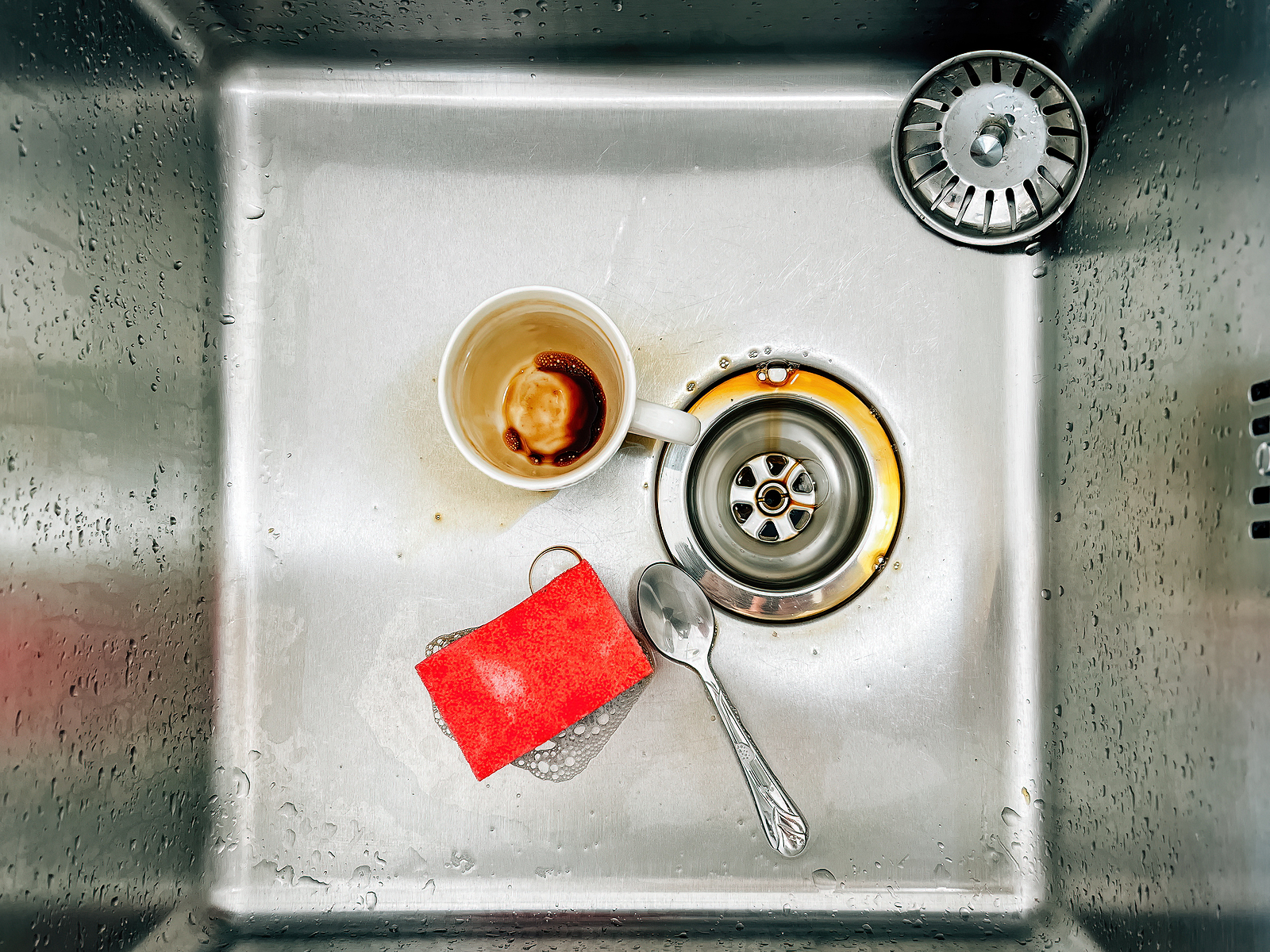 Can You Put Coffee Grounds Down the Sink?