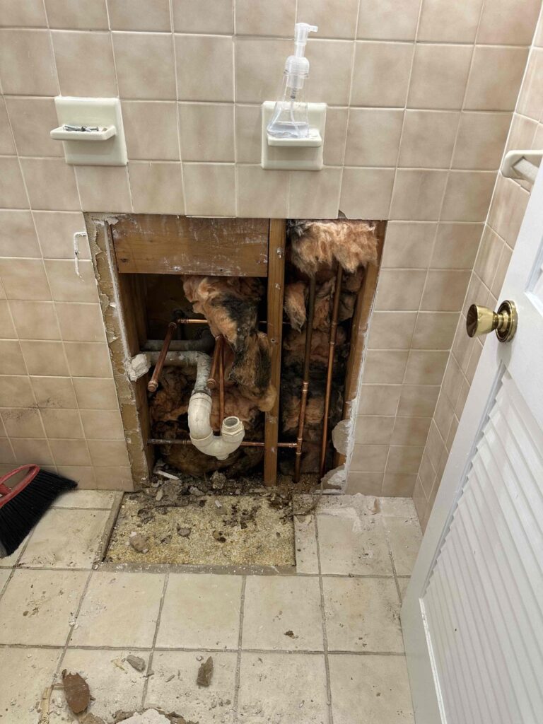 leaking toilet